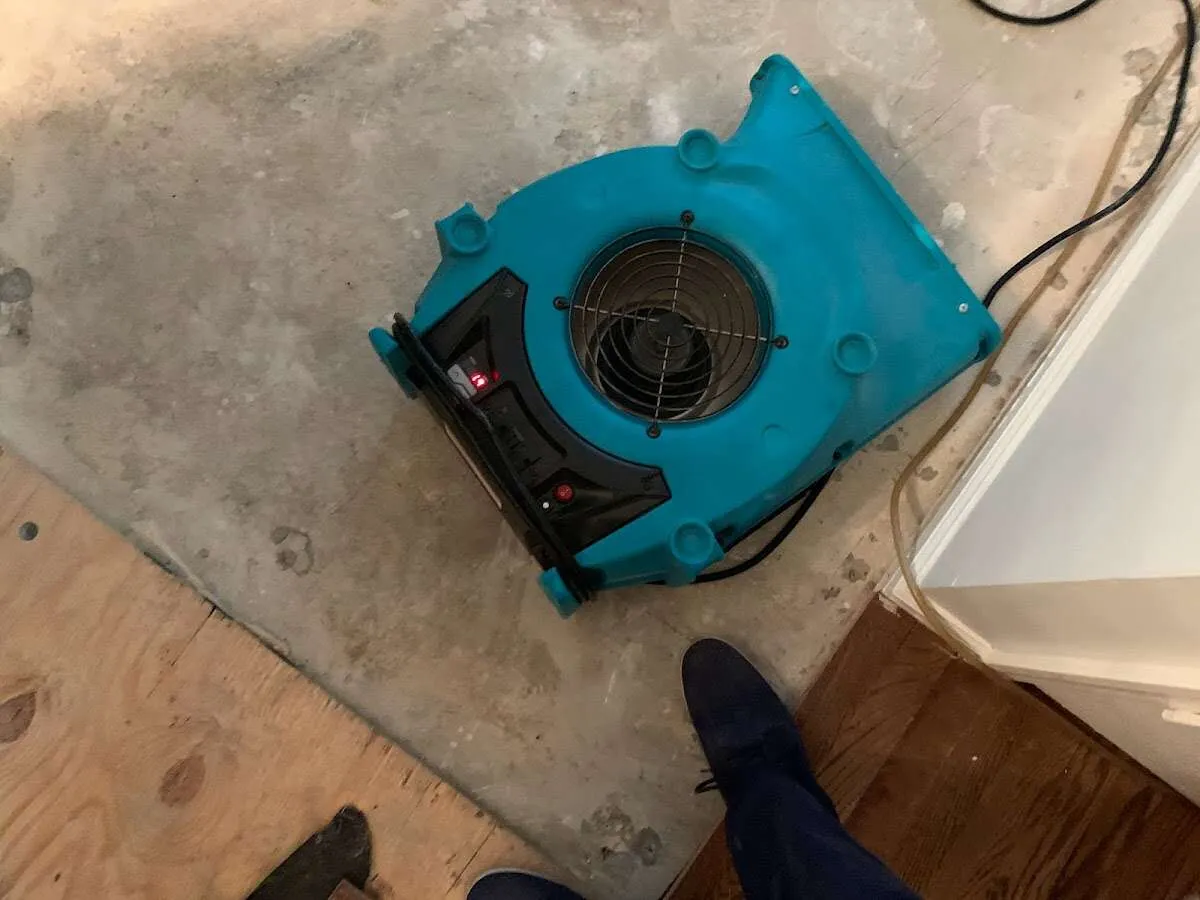 Air mover drying subfloor during Leak Detection & Repair in Takoma Park